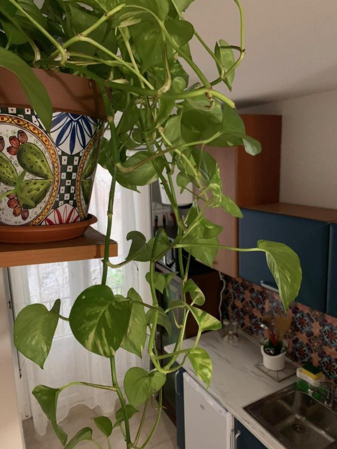 La Giara Appartement Palermo Buitenkant foto